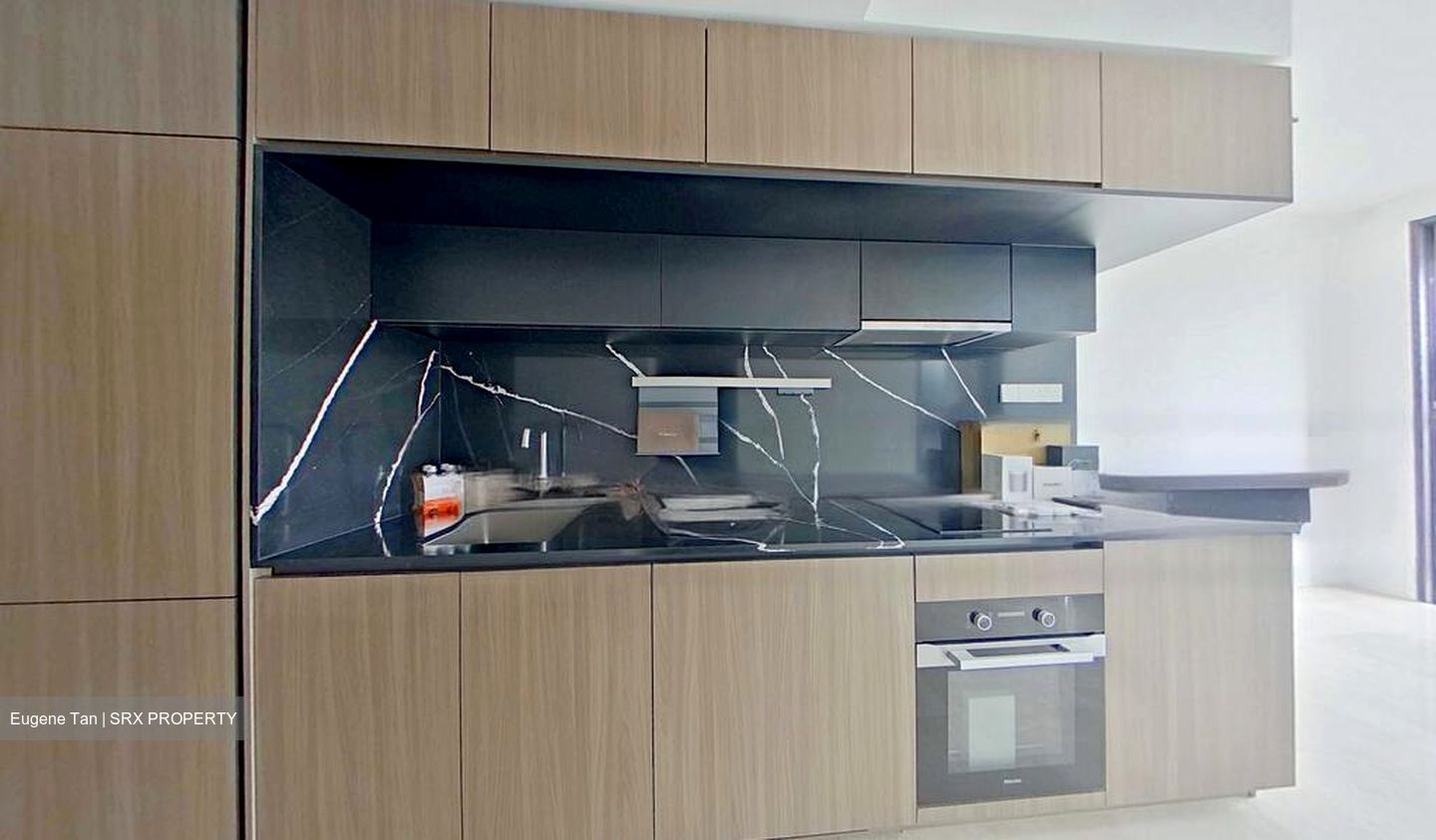 Irwell Hill Residences (D9), Apartment #467673261